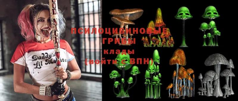 KRAKEN как зайти  Казань  Псилоцибиновые грибы Psilocybe 